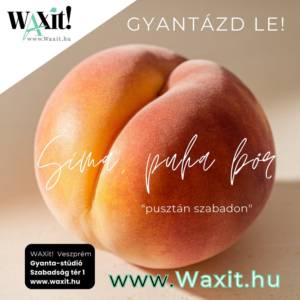 waxit-grafika-design-meta-reklam
